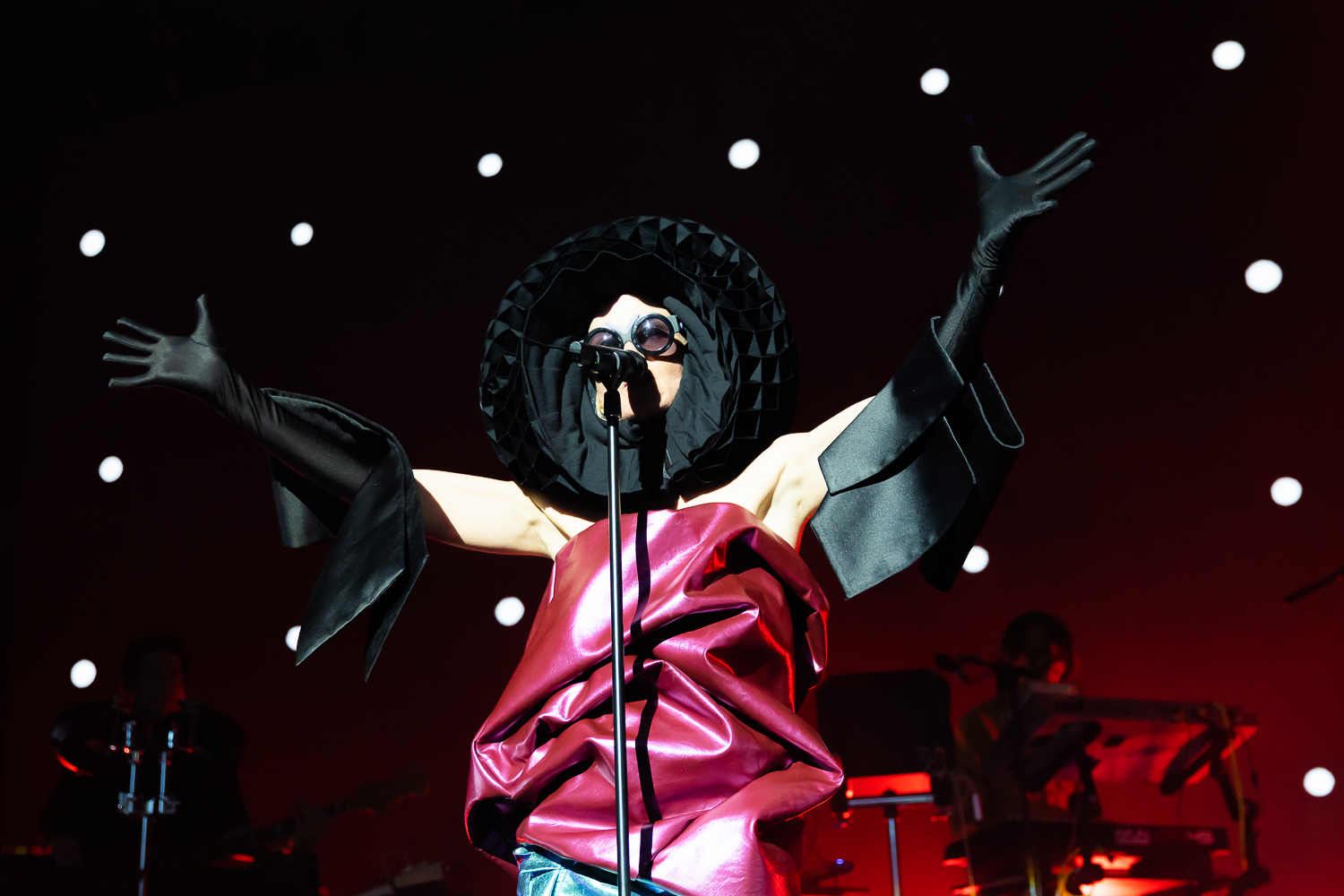 Roisin Murphy 3.jpg